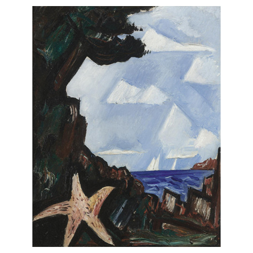 Sea View Starfish, New England - 마스던 하틀리 / 인테리어그림 (수입원목액자)