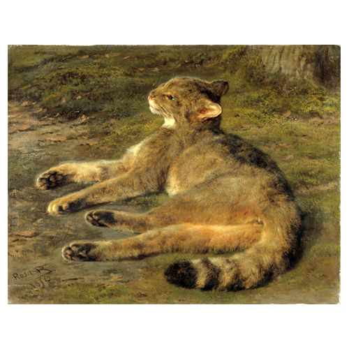 야생 고양이 - 로사 보뇌르 / 명화그림 (수입원목액자)